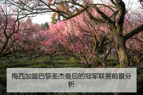 梅西加盟巴黎圣杰曼后的冠军联赛前景分析